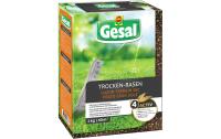 Trocken-Rasen 1 kg