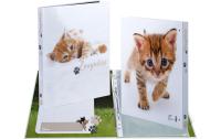 Herma Zeugnisringbuch A4 Katzen