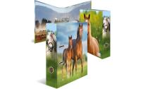 Herma Ordner 7 cm Pferd