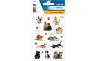 Herma Sticker Fröhliche Katzenkinder