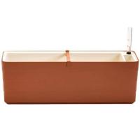 Bewässerungskasten Berberis 60 cm