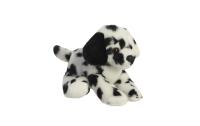 MF Dipper Dalmatian Dog