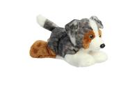 MF Australian Shepherd