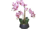 Chalet Orchidee im Topf 58cm