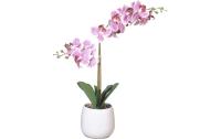 Chalet Orchidee im Topf 56cm