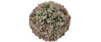 Chalet Eukalyptus Kunstkugel L
