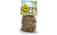 Natur Snack Löwenzahn Wurzeln