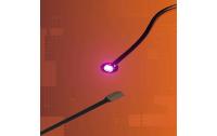 LMB 2.0 Astro LED Pink