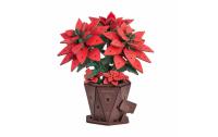 RobotimePoinsettia