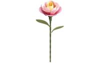 Robotime Pink Camellia
