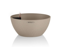 Lechuza Cubeto Color 30