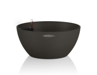 Lechuza Cubeto Color 40