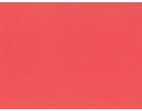 Papstar Tischsets Papier rot 100 Stück