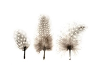 Glorex Federn-Perlhuhn