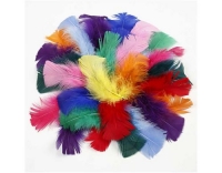 Creativ Company Federn 50 g