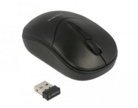 Delock 12494 USB 2.4 GHz, WIRELESS