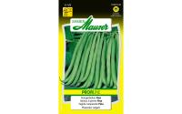 Stangenbohne Fina