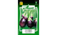 Aubergine Ophelia F1