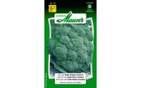 Broccoli Geba Stamm Coastal