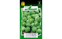 Rosenkohl Mezzo Nano Auslese