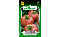 Fleischtomate Berner Rosen