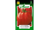 Fleischtomate Ochsenherz