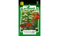 Mehrj&auml;hrige Wiesenblumen Mischung
