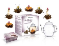 Creano Erblühtee Schwarzer Tee Geschenkset