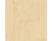 d-c-fix Designfolie 67.5 cm x 2 m