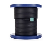 CT Serie - DisplayPort 1.4 4K 30.4m