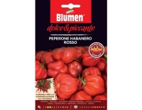 Blumen Paprika Habanero Rosso