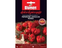 Blumen Paprika Jamaican rosso