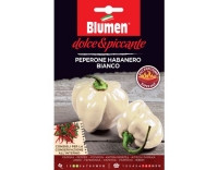Blumen Paprika Habanero Bianco