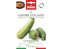Blumen Zucchini Bolognese