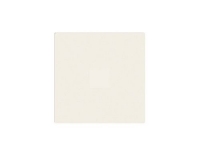 Blindabdeckung EDIZIOdue Einsatz