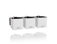 Lechuza Green Wall Home Kit CO