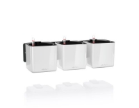 Lechuza Green Wall Home Kit