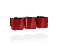 Lechuza Green Wall Home Kit