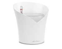 Lechuza ORCHIDEA, weiss