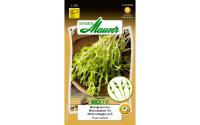 Samen Mauser BIO Microgreen Erbse