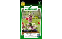Samen Mauser Wildblumen Mix Balkon