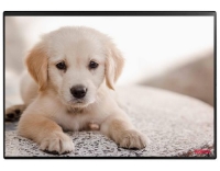 Kolma Schreibunterlage Undercover Poster