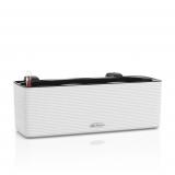 Lechuza Cube Color Triple