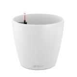 Lechuza CLASSICO Color 21