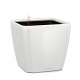 Lechuza Quadro Premium 21 LS