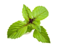 Click and Grow Smart Garden Plant Pod