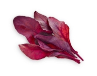 Click and Grow Smart Garden Plant Pod