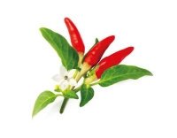 Click and Grow Smart Garden Plant Pod